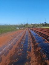 팜모닝 벼·영농일지 게시글 이미지