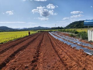 민들레 수연님의 벼 · 영농일지 작성글 사진