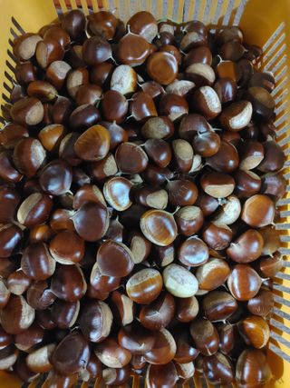 유옥자님의 작성글 사진