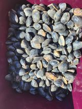 팜모닝 자유주제·자유게시판 게시글 이미지