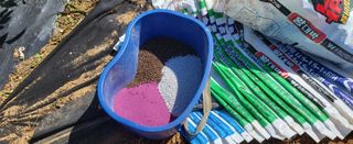 조미숙님의 마늘 · 토양준비 작성글 사진