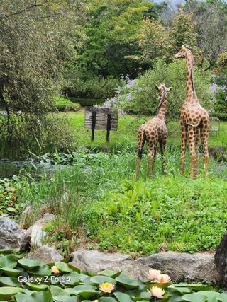 이훈정(시몬)님의 ↑ 윷놀이 하고 추석덕담 하기 · 참여글 작성글 사진