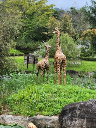 이훈정(시몬)님의 ↑ 윷놀이 하고 추석덕담 하기 · 참여글 작성글 사진