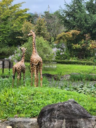 이훈정(시몬)님의 ↑ 윷놀이 하고 추석덕담 하기 · 참여글 작성글 사진