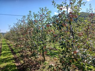 알 수 없음님의 우리동네 · 동네수다 작성글 사진