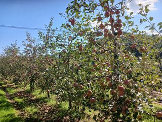 알 수 없음님의 우리동네 · 동네수다 작성글 사진