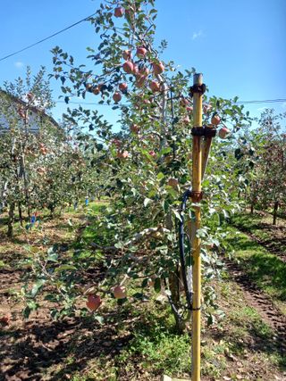 알 수 없음님의 우리동네 · 동네수다 작성글 사진