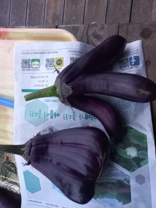 박린님의 ↑ 윷놀이 하고 추석덕담 하기 · 참여글 작성글 사진