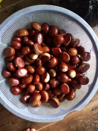 서애 기원님의 ↑ 윷놀이 하고 추석덕담 하기 · 참여글 작성글 사진