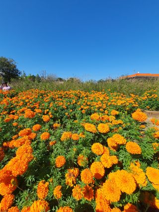 고춘석님의 자유주제 · 자유게시판 작성글 사진