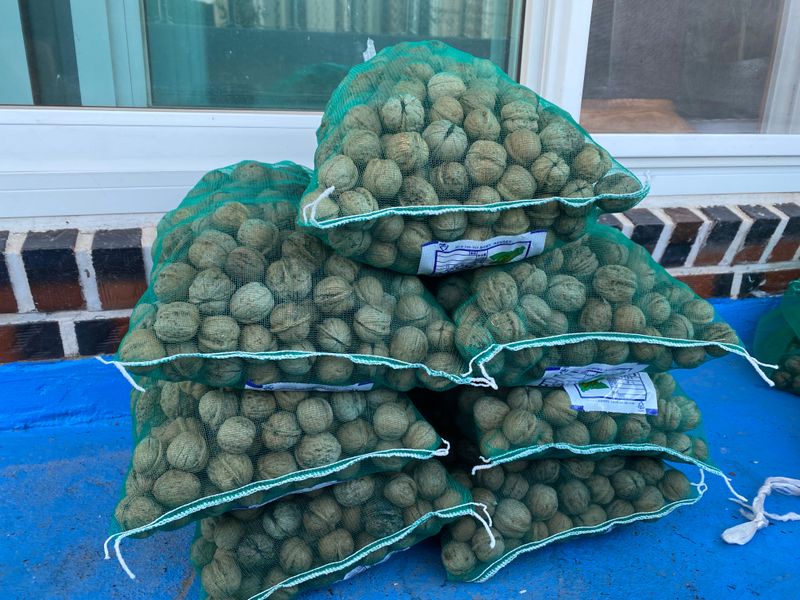 장터 상품 [2025년산 호두 1kg] 썸네일