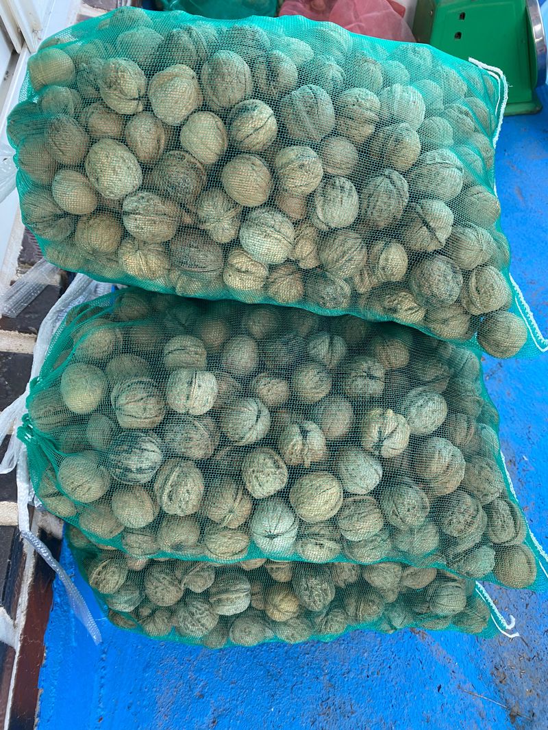 성주농원님의 장터 판매 상품 [2025년산 호두 1kg] 첨부 사진