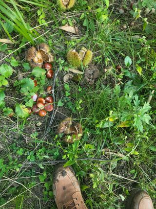 윤석돈님의 팜모닝공식 · 광고승인요청 작성글 사진