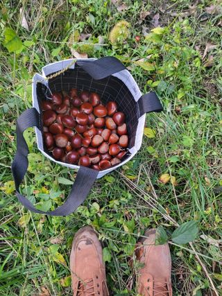 윤석돈님의 팜모닝공식 · 광고승인요청 작성글 사진