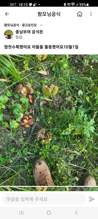 윤석돈님의 감 · 병해충상담 작성글 사진