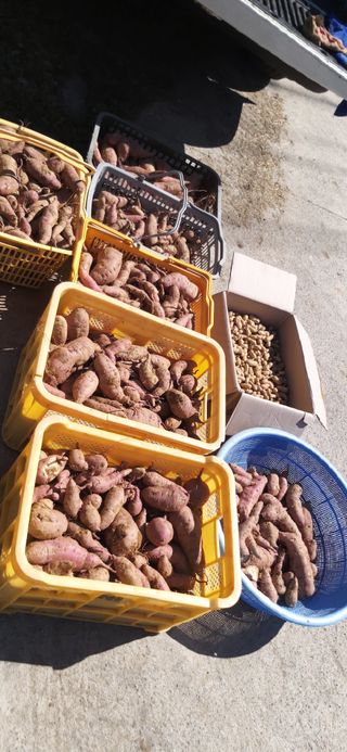 김영문님의 자유주제 · 자유게시판 작성글 사진