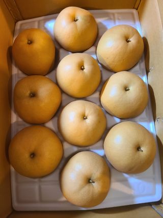 황소농원(배)님의 ↑ 윷놀이 하고 추석덕담 하기 · 참여글 작성글 사진