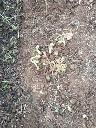 이원우님의 기타작물 · 자유게시판 작성글 사진