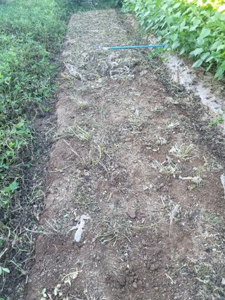 이원우님의 기타작물 · 자유게시판 작성글 사진