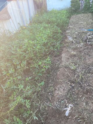 이원우님의 기타작물 · 자유게시판 작성글 사진