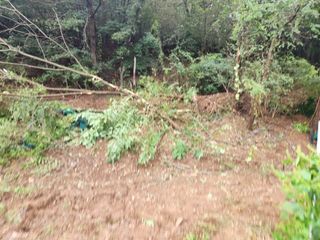 대구달서구권장현님의 들깨 · 자유게시판 작성글 사진