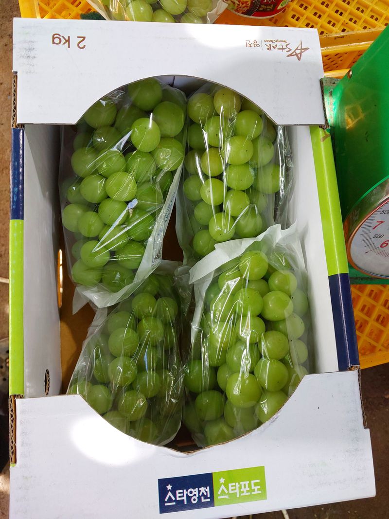 장터 상품 [샤인마스켓2킬로] 썸네일