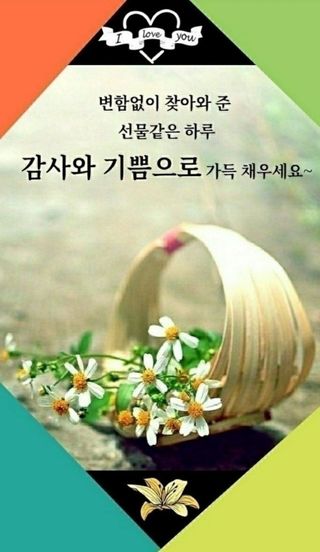 SOUL님의 자유주제 · 자유게시판 작성글 사진