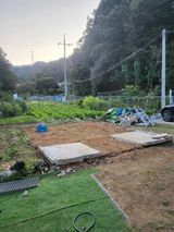 팜모닝 ↑ 윷놀이 하고 추석덕담 하기·참여글 게시글 이미지