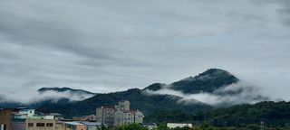 정옥자님의 ↑ 윷놀이 하고 추석덕담 하기 · 참여글 작성글 사진