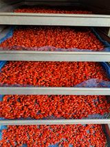 팜모닝 기타작물·영농일지 게시글 이미지