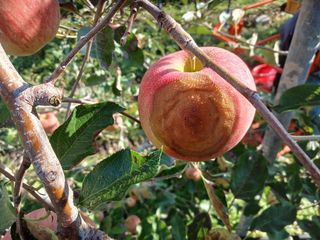 알 수 없음님의 자유주제 · 자유게시판 작성글 사진