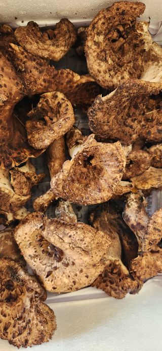 김승태님의 작성글 사진