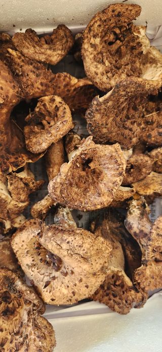 김승태님의 작성글 사진