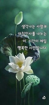 팜모닝 ↑ 윷놀이 하고 추석덕담 하기·참여글 게시글 이미지