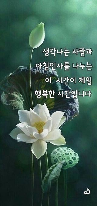다둥이네농장님의 ↑ 윷놀이 하고 추석덕담 하기 · 참여글 작성글 사진