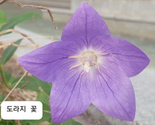 경기도님의 ↑ 윷놀이 하고 추석덕담 하기 · 참여글 작성글 사진