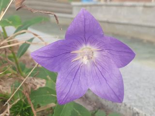 경기도님의 ↑ 윷놀이 하고 추석덕담 하기 · 참여글 작성글 사진