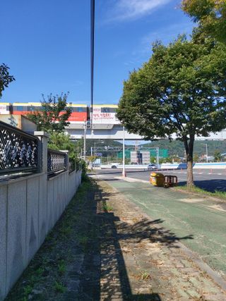 김정은님의 ↑ 윷놀이 하고 추석덕담 하기 · 참여글 작성글 사진