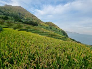 손병만님의 자유주제 · 자유게시판 작성글 사진