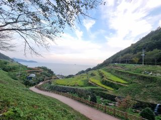 손병만님의 자유주제 · 자유게시판 작성글 사진