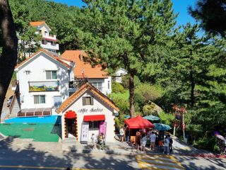 손병만님의 자유주제 · 자유게시판 작성글 사진