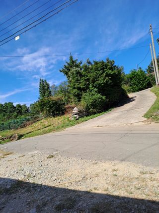 푸른오이님의 ↑ 윷놀이 하고 추석덕담 하기 · 참여글 작성글 사진