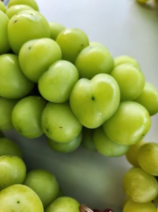 호박13997님의 ↑ 윷놀이 하고 추석덕담 하기 · 참여글 작성글 사진