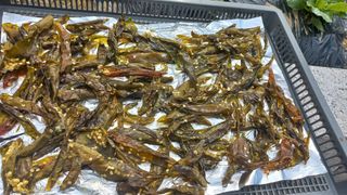 송월명님의 자유주제 · 자유게시판 작성글 사진