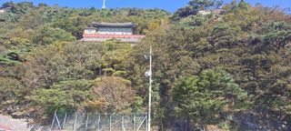 사천시향촌동 돼지띠님의 벼 · 자유게시판 작성글 사진