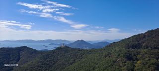 사천시향촌동 돼지띠님의 벼 · 자유게시판 작성글 사진