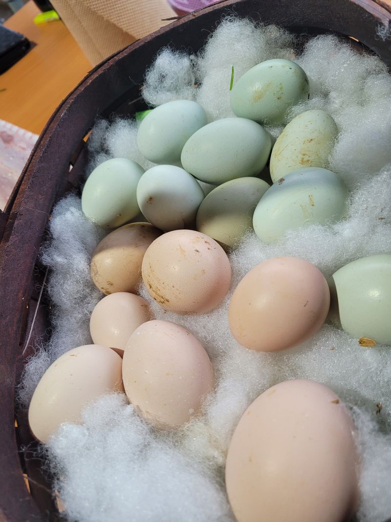 장터 상품 [올해  흘린 땀방을이 헛되지 않게  끝까지 홧팅해요] 썸네일