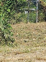 팜모닝 토마토·영농일지 게시글 이미지