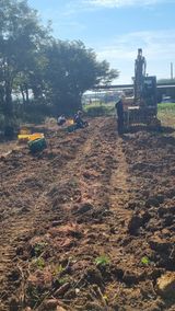 팜모닝 고구마·영농일지 게시글 이미지