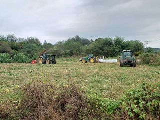 김영천님의 벼 · 영농일지 작성글 사진